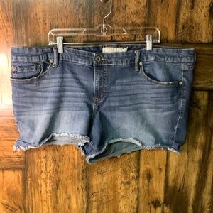 Torrid Jean shorts size 24